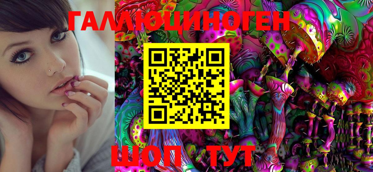 Псилоцибиновые грибы Psilocybe Рузаевка